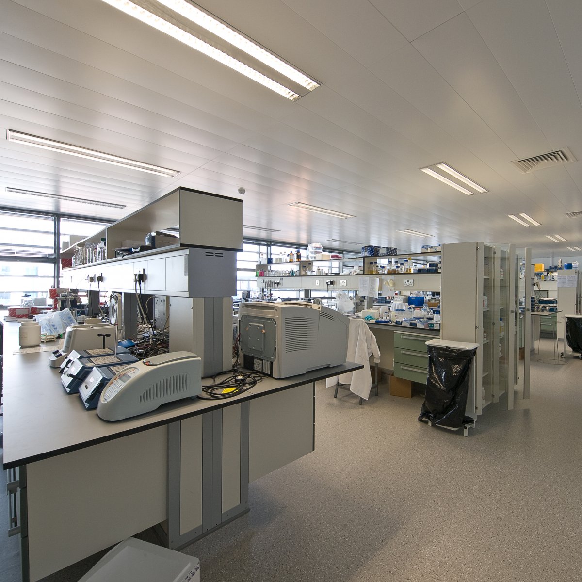 National Institute for Cellular Biotechnology, Dublin City University.
