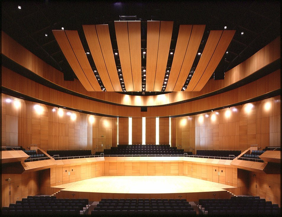 The Helix Performing Arts Centre (DCU)